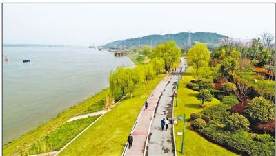 长江岸线变生态公园