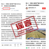 辟谣！网传“河南小麦单产破2500公斤”为不实信息