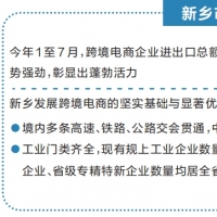 新乡抢滩跨境出海新赛道（稳量提质 外贸向新）