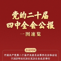 学习新语｜党的二十届四中全会公报一图速览