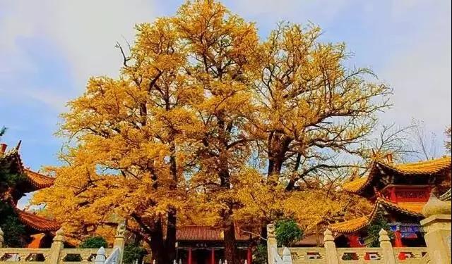 已经是最后一页了