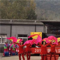 拔萝卜、摘柿子 登封的这个立冬文化节精彩多多