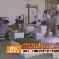 梁园区：小辣椒长成大产业 产业链串出幸福生活