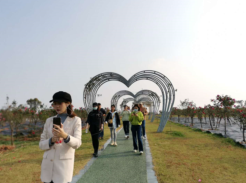 1604330327148.png image.png