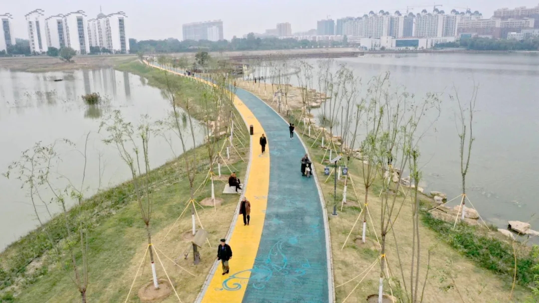 1605066402625.jpg 6.webp.jpg