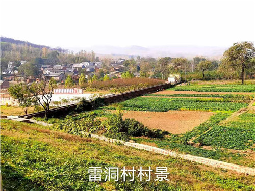 1605146572418.jpg 微信图片_20201112100535_副本.jpg