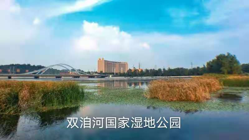 1605238764296.jpg 4.jpg