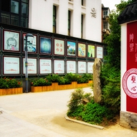 浸润心灵 文明养成 让文明之花儿永绽校园