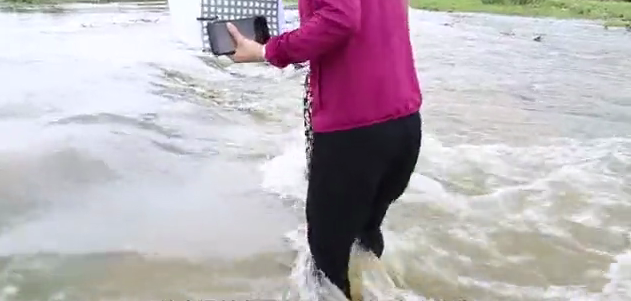 1612159317652.png 1599027700658.png