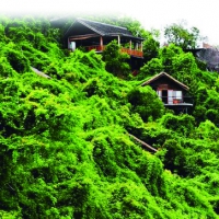 森林旅游：多业态+多功能 未来可期