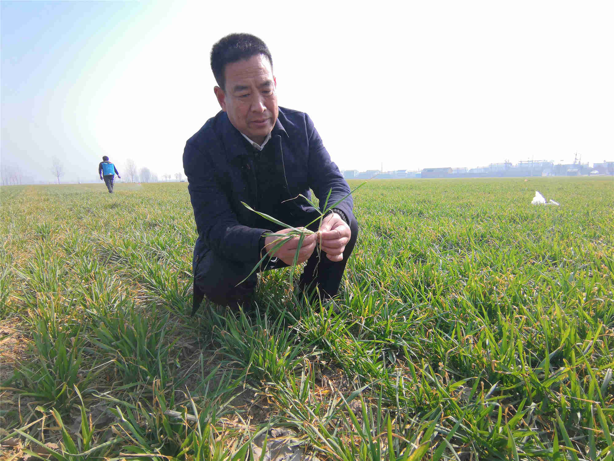 1615184845890.jpg 微信图片_20210308133917_副本.jpg