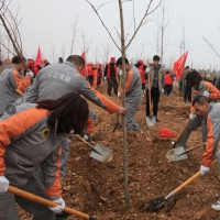 为鹤城大地增添新绿 鹤壁人防组织参加全市义务植树活动