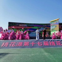 万亩桃园竞开颜 西华第十七届桃花节盛大开幕