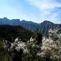 【春游浮戏】一起爬山吧！