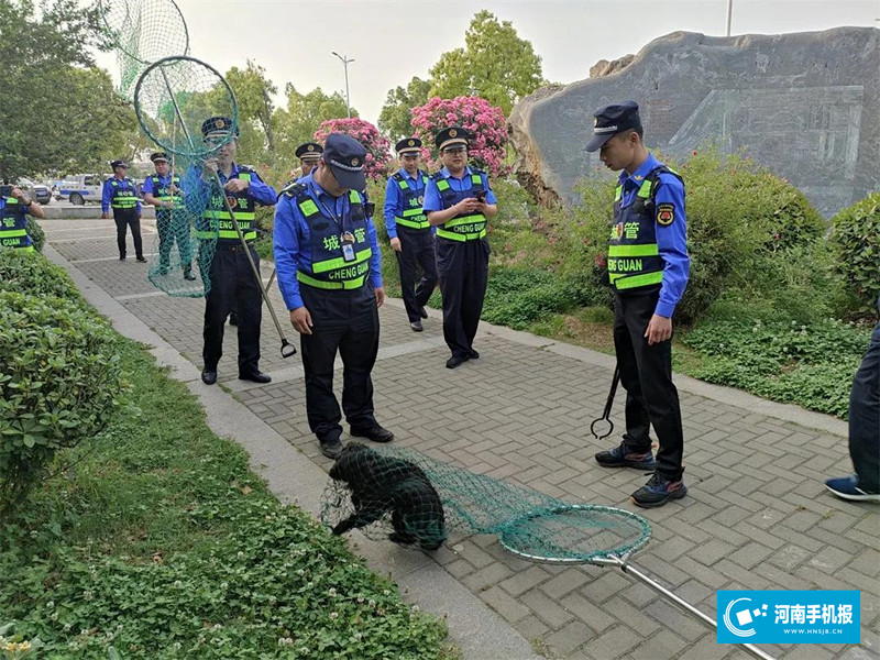 1620640881999.jpg 2_副本.jpg
