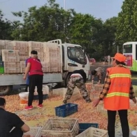 拉鸡蛋货车侧翻，商丘环卫工人和路过市民纷纷上前帮忙捡拾鸡蛋