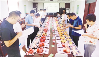 1626077102189.jpg 22.jpg