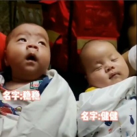 50天双胞胎被郑州红十字蓝天救援队成功解救
