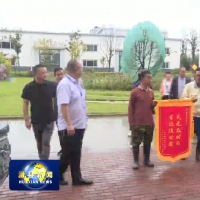 滑县：灾后重建办实事 群众感恩送锦旗