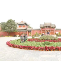 太昊陵景区第四届金秋菊展开幕