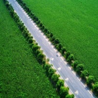 河南变农村公路为乡村振兴的“加速器”