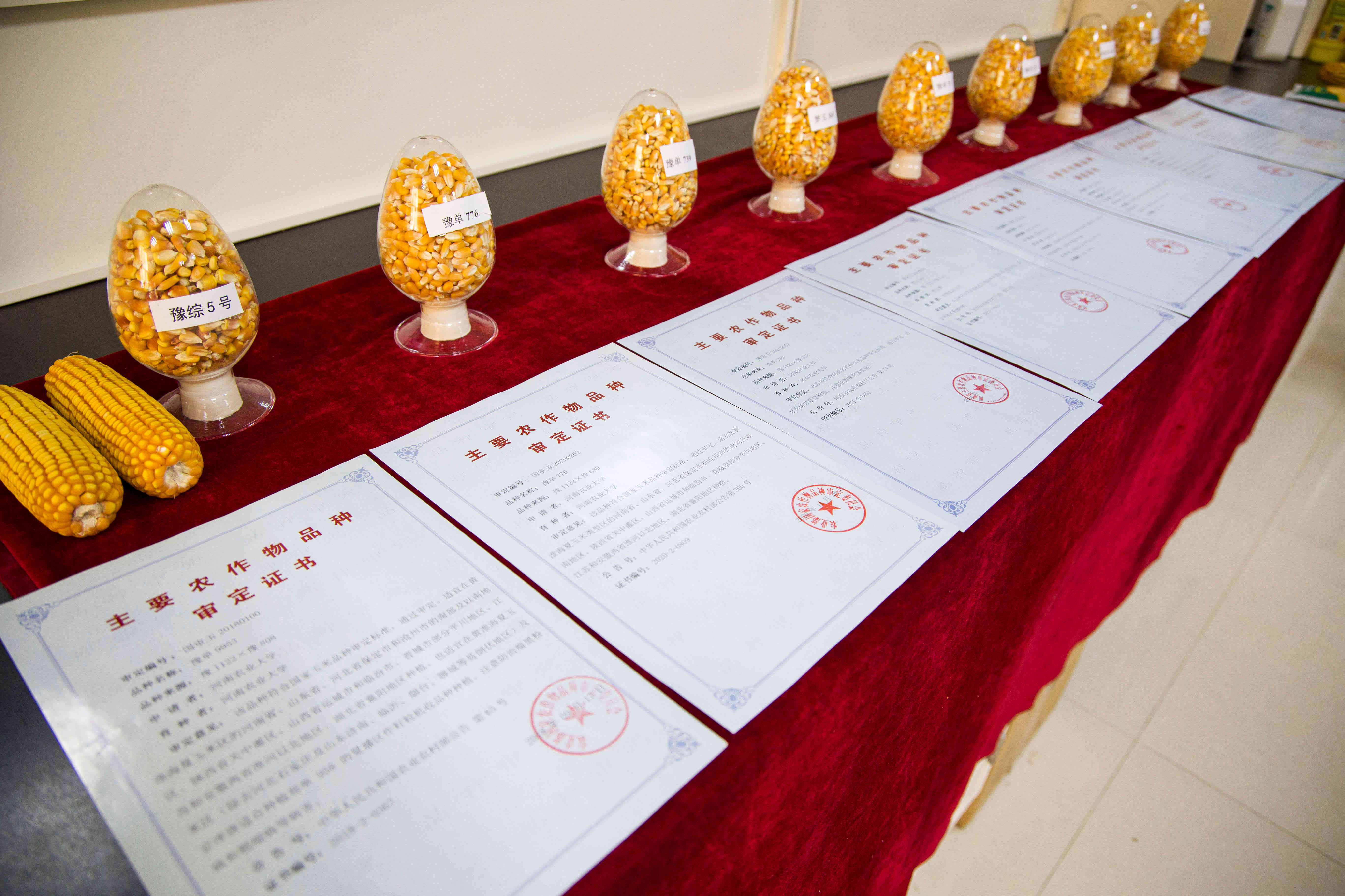 1640012758438.jpg WEI_9114.jpg