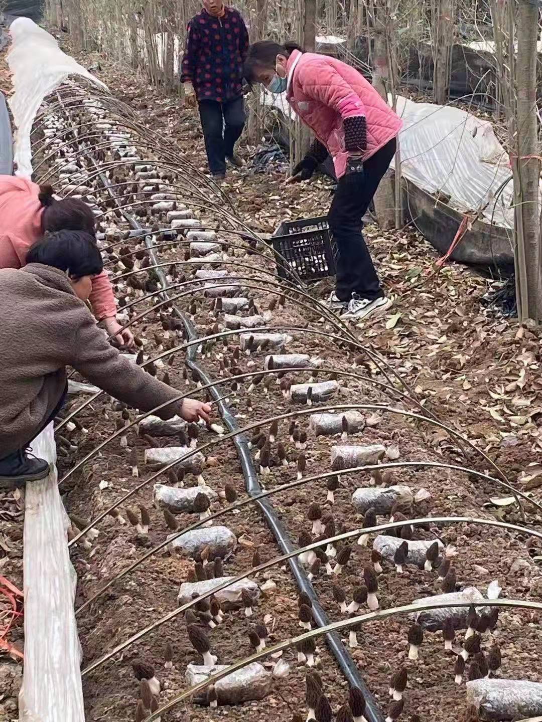 1640243272440.jpg 微信图片_20211223151008.jpg