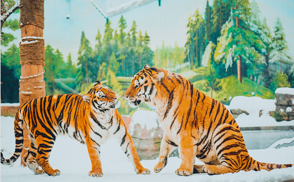 1643178386760.png 微信截图_20220126142925.png