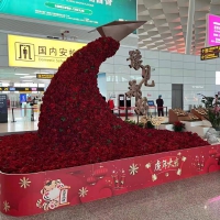 郑州机场迎来今年春运第一个运输高峰