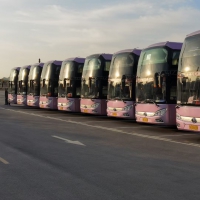 今日起 郑州旅游客运、包车客运有序恢复