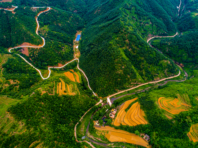 1644827930167.png 图片1.png