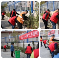 绿化家园促和谐 卢氏县人防办开展义务植树活动