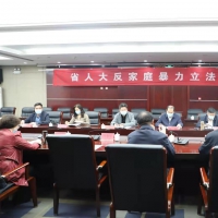 省人大常委会《河南反家庭暴力条例》立法调研组到宝丰县调研