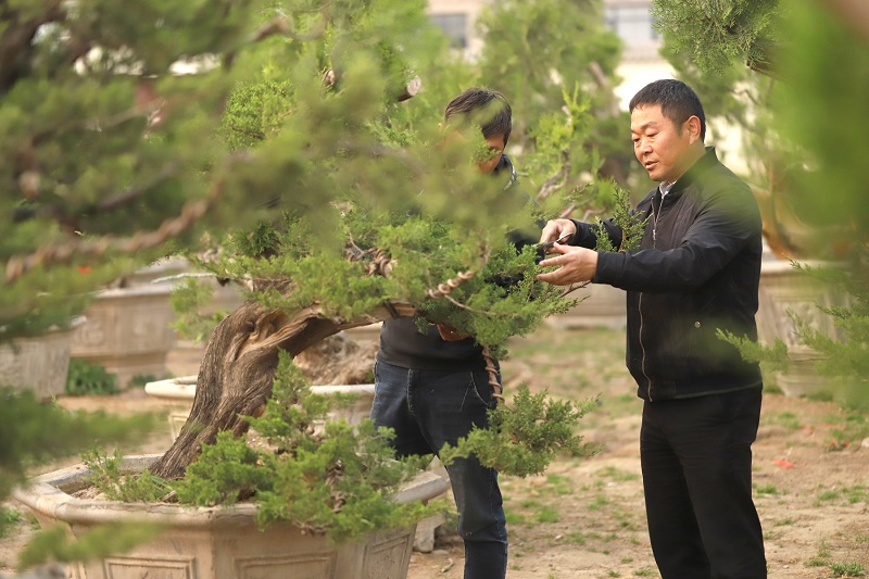 1651246757314.jpg 4.jpg