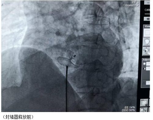 微信图片_20220506185217.png