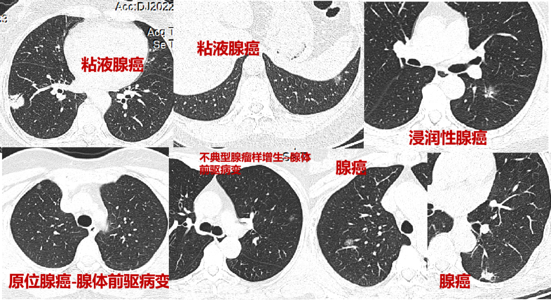 微信图片_20220509194344.png