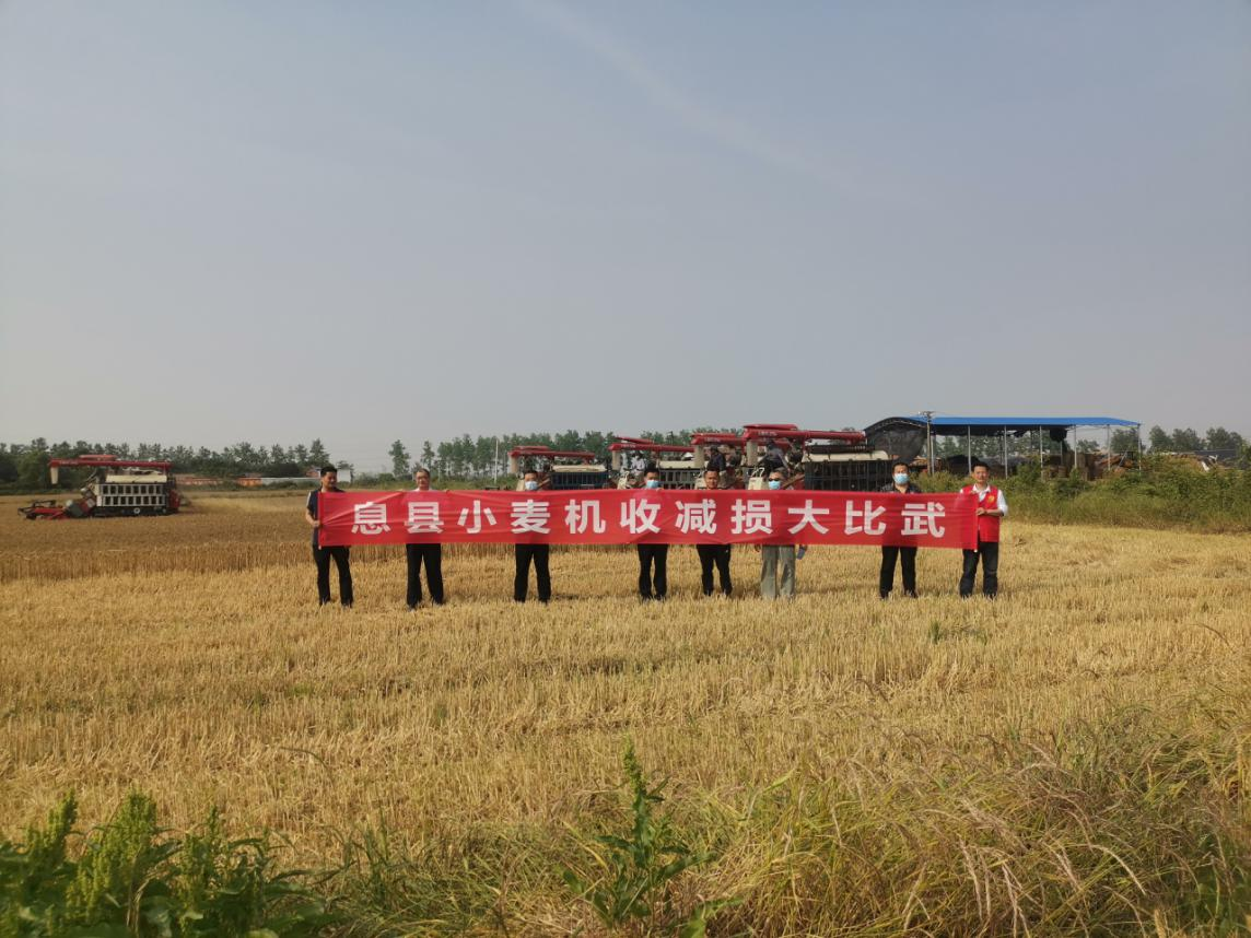 图片8.png