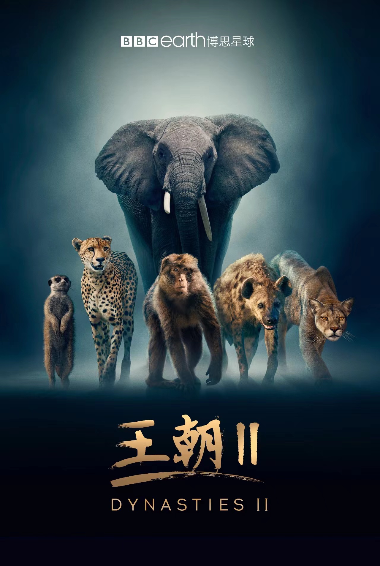 1654220724584.jpg 微信图片_20220603094439.jpg