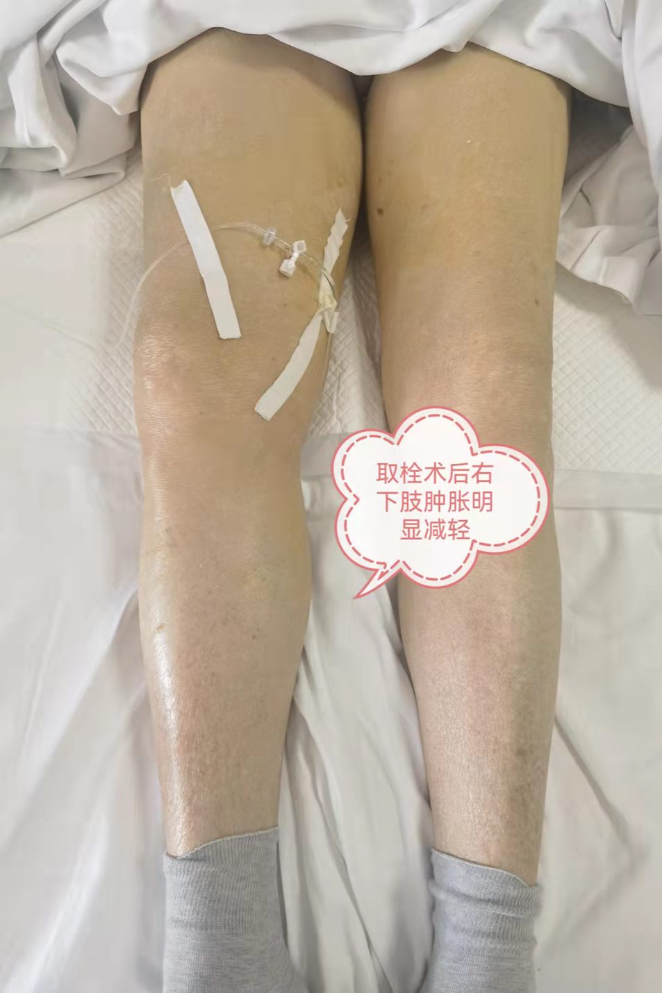 550b1a8d8fca725044bdb83f9ab13f7.jpg