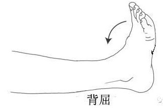 微信图片_20220614083418.png
