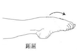 微信图片_20220614083423.png