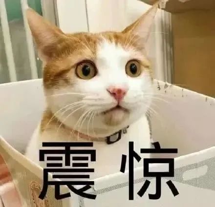 微信图片_20220803212721.jpg