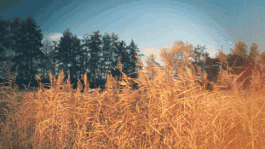 1662690498215.gif 12.gif