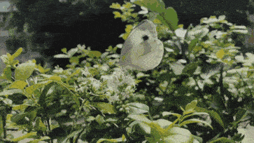 1662690503140.gif 11.gif