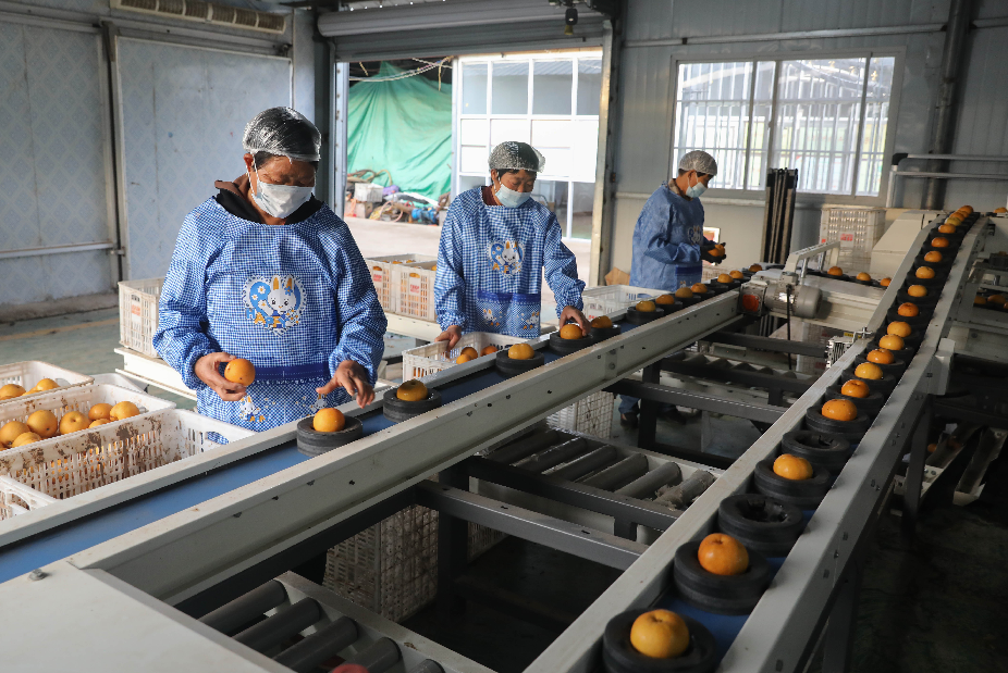 1665279010454.png 1.png