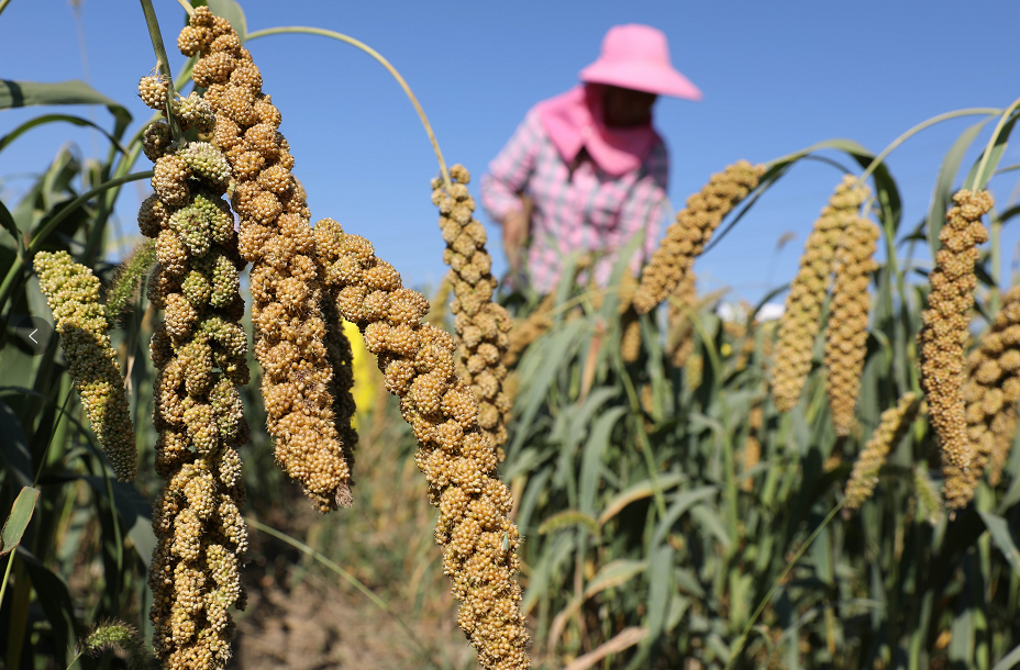 1665279037776.png 2.png