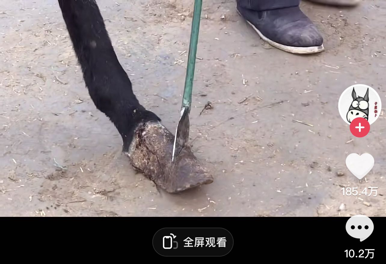 1669021853322.jpg 微信图片_20221121171818.jpg