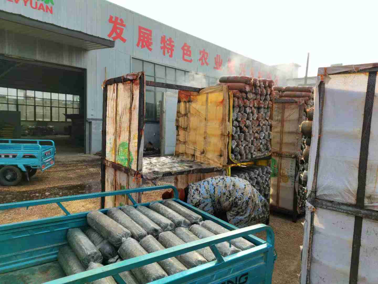 图片2.jpeg