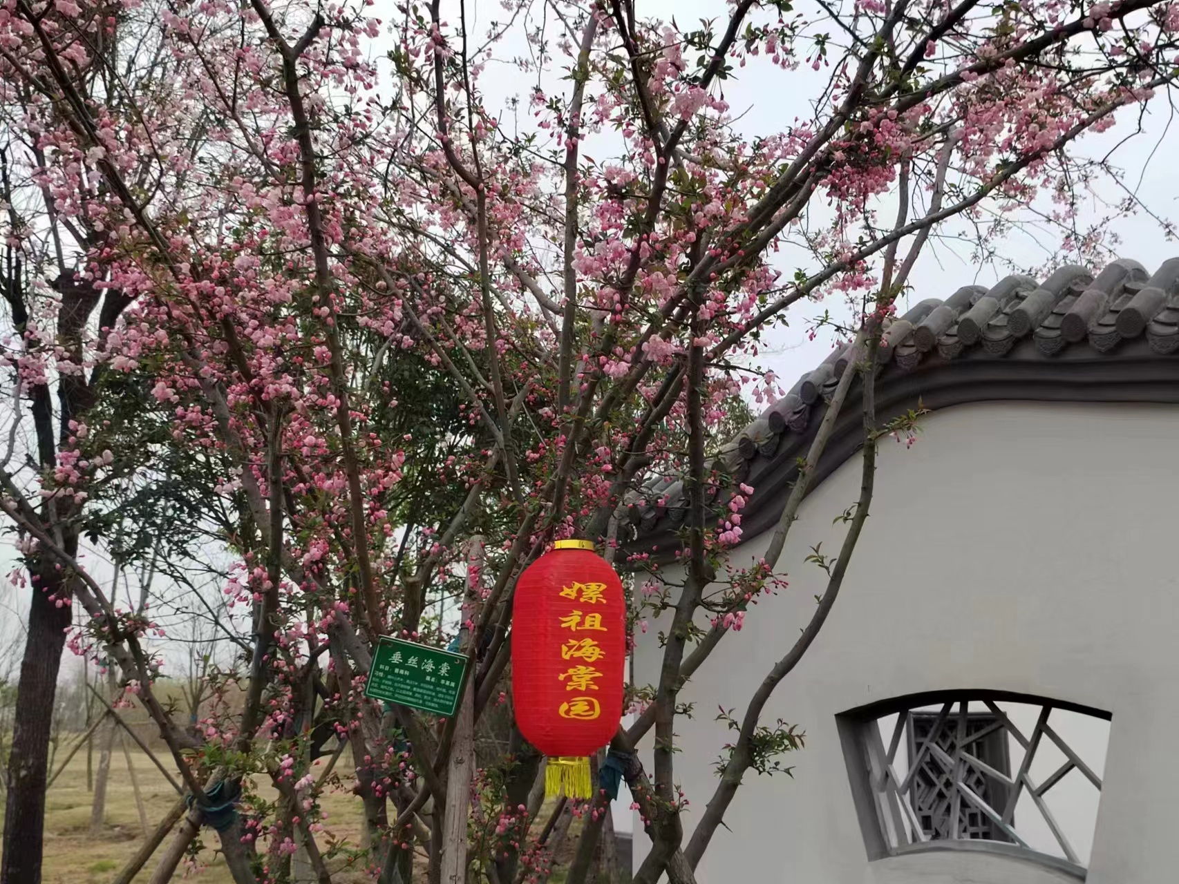 微信图片_20230323092502.jpg