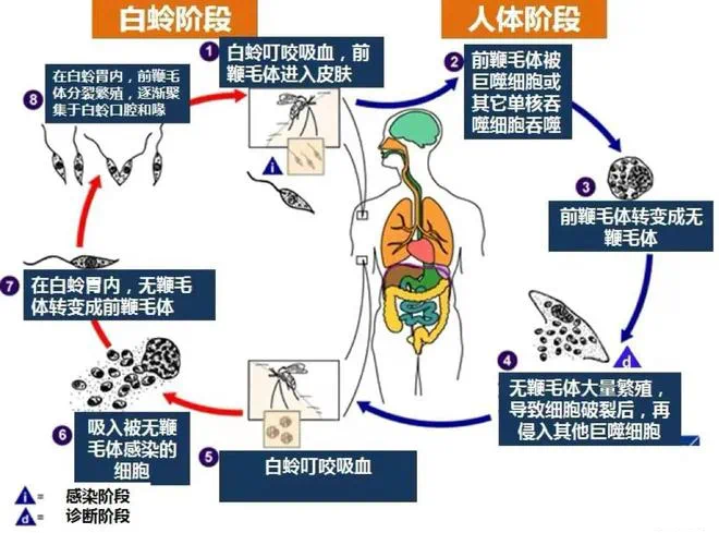 微信图片_20230526100019.png